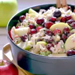 Apple Cranberry Coleslaw Recipe